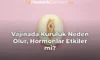 Vajinada Kuruluk Neden Olur, Hormonlar Etkiler mi?