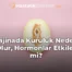 Vajinada Kuruluk Neden Olur, Hormonlar Etkiler mi?