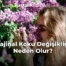 Vajinal Koku Değişikliği Neden Olur?