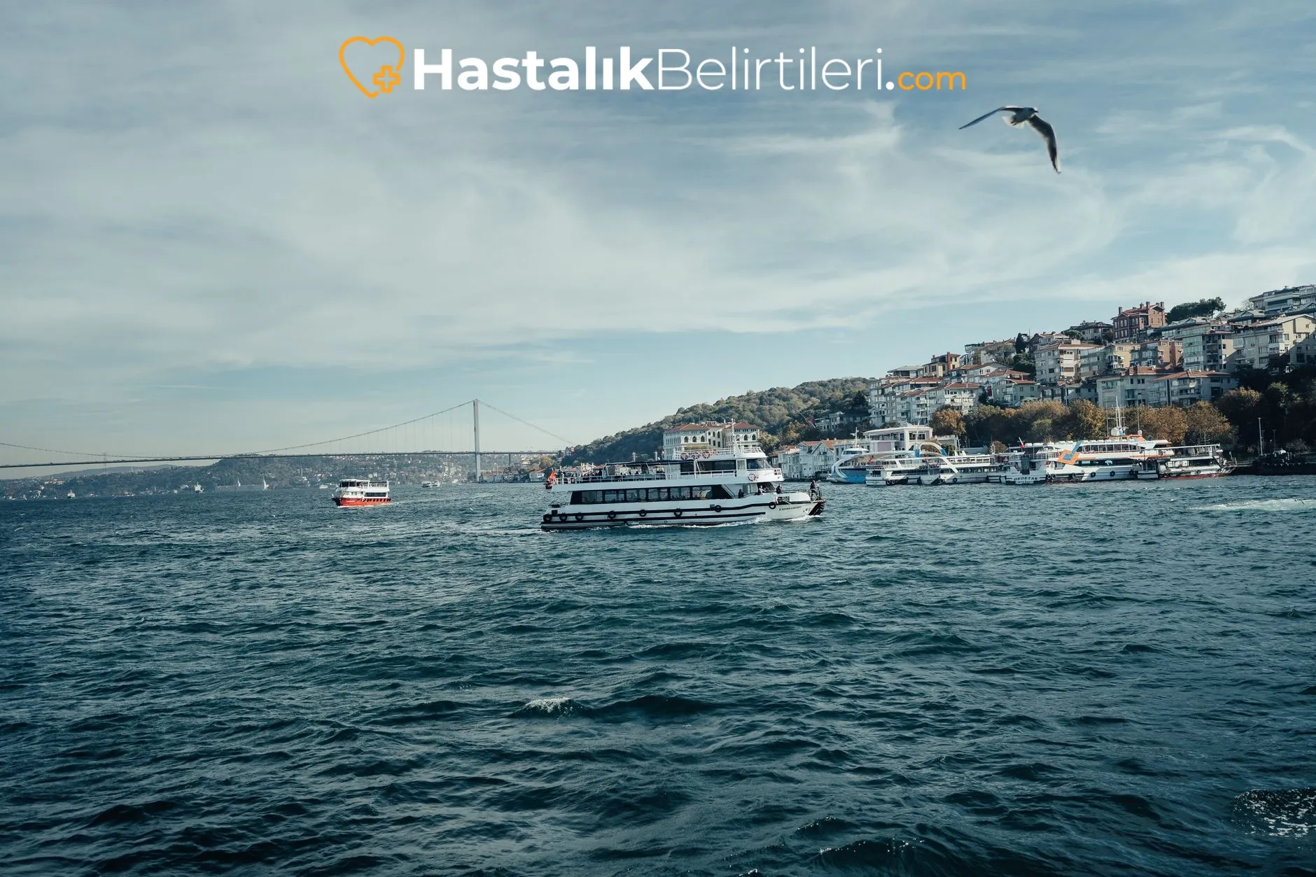Yutkunurken Boğazda Takılma Hissi Neden Olur? 4 Doktor muayenesi, boğazda takılma hissi değerlendirmesi