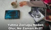 Yutma Zorluğu Neden Olur, Ne Zaman Acil? Yutma Zorluğu Neden Olur, Ne Zaman Acil?