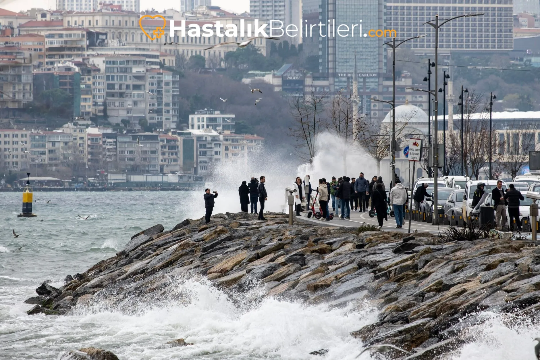 Anne bebek altını kontrol ediyor, gaz ve pişik ihtimali