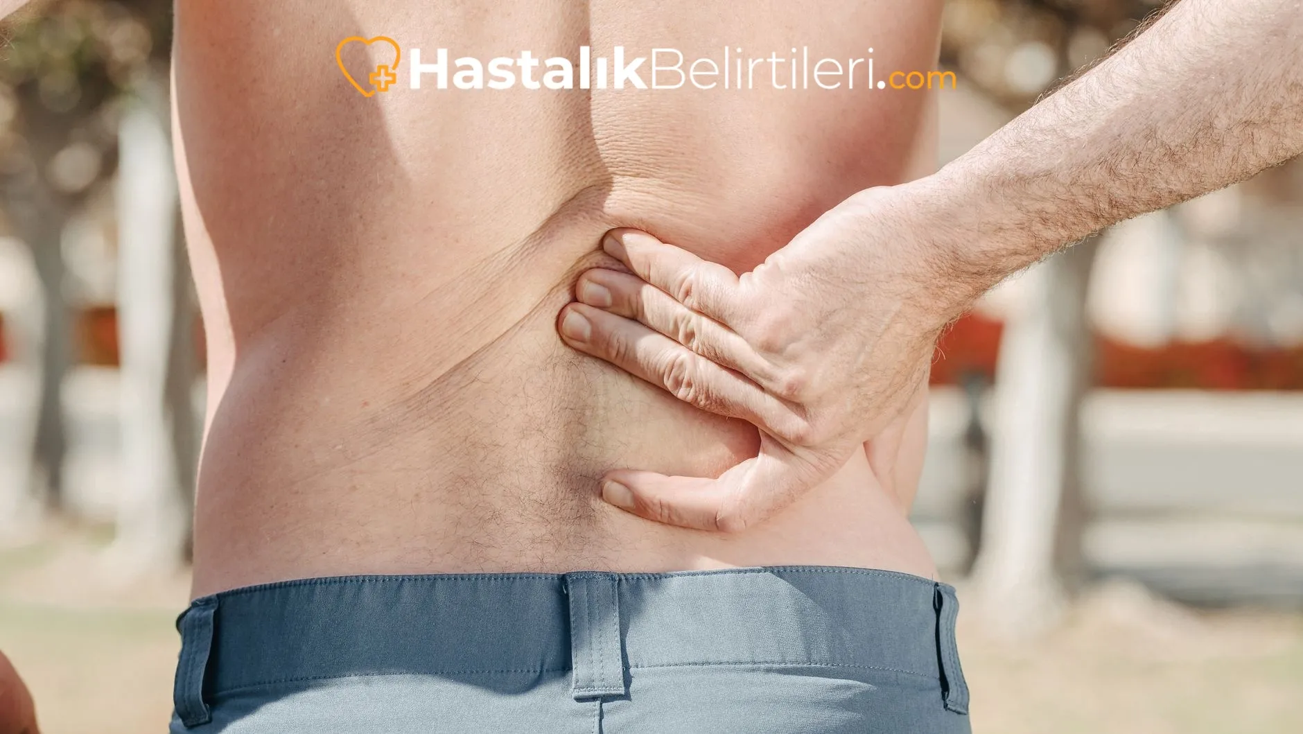 Bel Düzleşmesi Neden Olur, Evde Ne Yapılır? 2 Bel ağrısına eşlik eden boyun ve bel kas gerginliği