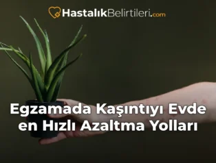 Egzamada Kaşıntıyı Evde en Hızlı Azaltma Yolları