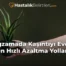 Egzamada Kaşıntıyı Evde en Hızlı Azaltma Yolları