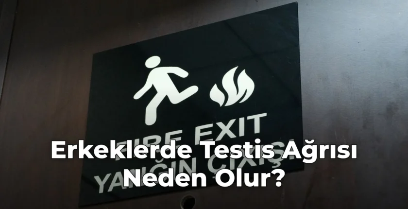 Erkeklerde Testis Ağrısı Neden Olur?