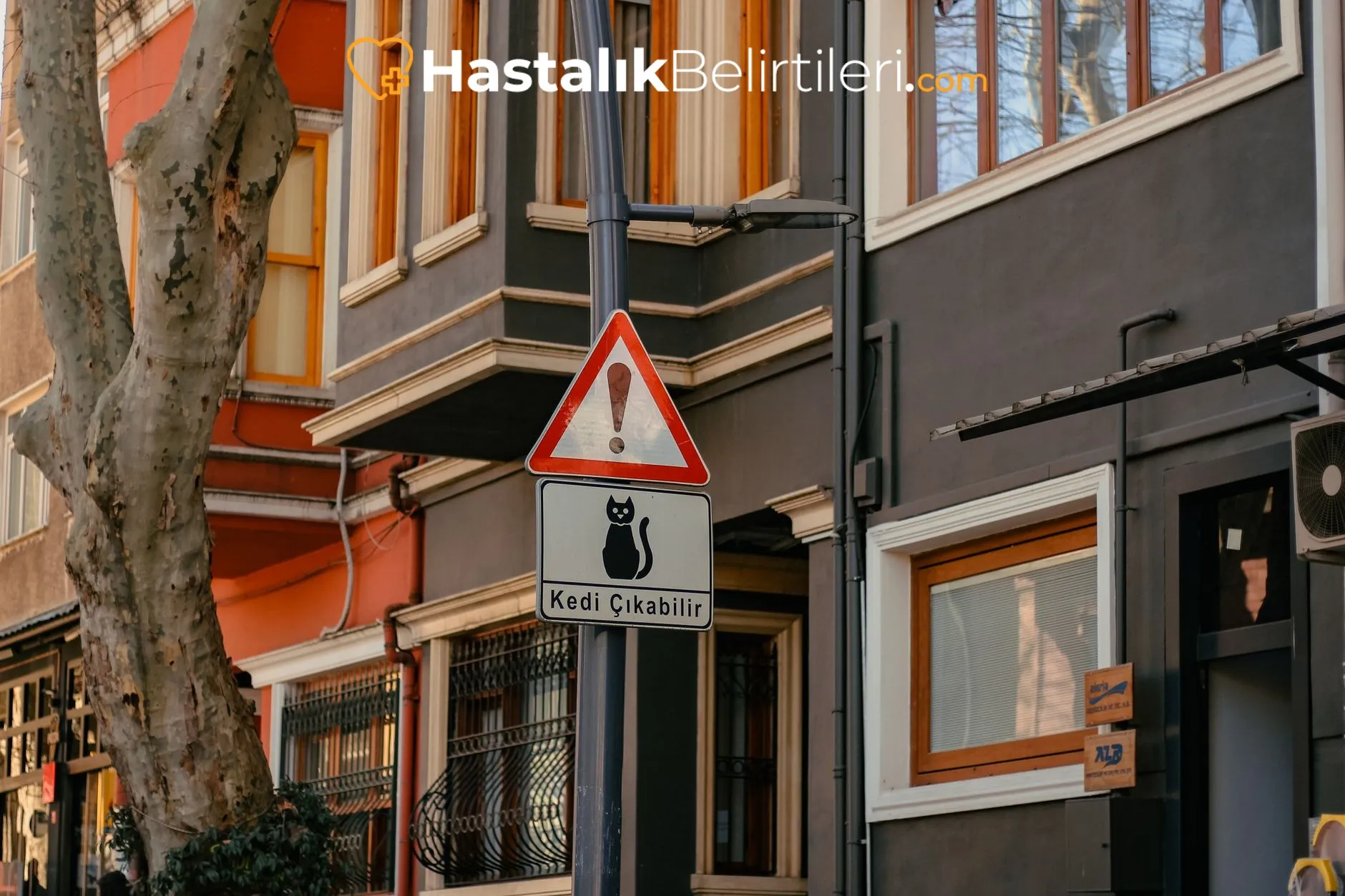 Kadında alarm belirtilerini gösteren sağlık danışma görseli