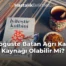 Göğüste Batan Ağrı Kalp Kaynağı Olabilir Mi?