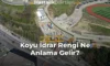 Koyu İdrar Rengi Ne Anlama Gelir?