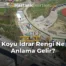 Koyu İdrar Rengi Ne Anlama Gelir?