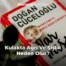 Kulakta Ağrı Ve Şişlik Neden Olur?