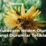 Kurdeşen Neden Olur, Hangi Durumlar Tetikler?