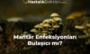Mantar Enfeksiyonları Bulaşıcı mı?