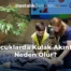 Çocuklarda Kulak Akıntısı Neden Olur?