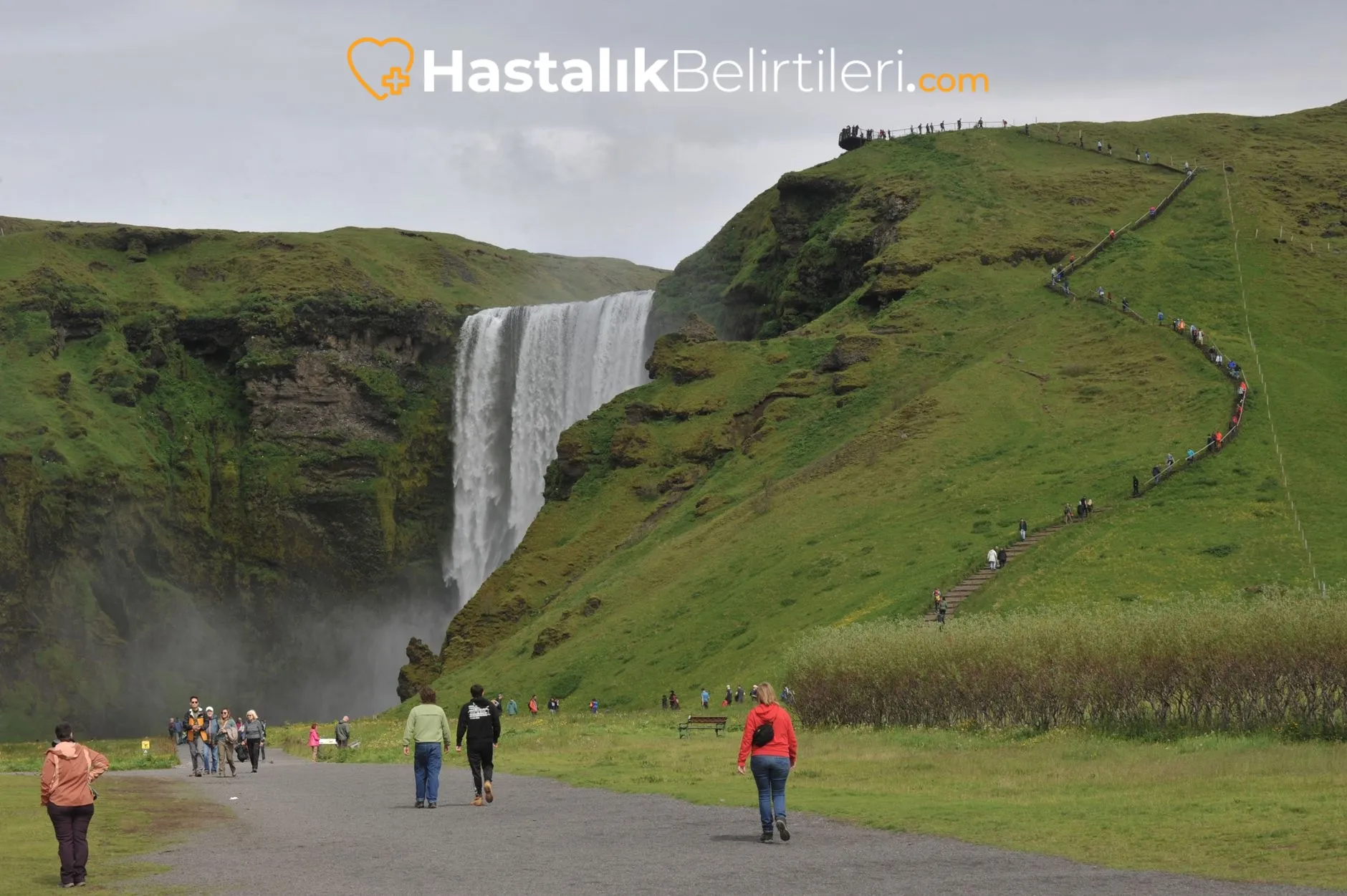 Omuz Ağrısı Göğüs Ağrısıyla Karışır Mı? 2 Göğüs ağrısı ve omuz ağrısı ayrımını gösteren illüstrasyon