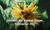 Ürtiker Ne Kadar Sürer, Tekrarlar mı? Ürtiker Ne Kadar Sürer, Tekrarlar mı?