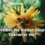Ürtiker Ne Kadar Sürer, Tekrarlar mı?