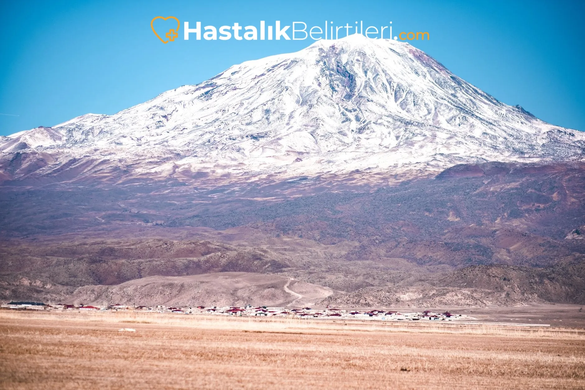 Safra Kesesi Taşı Belirtileri Nelerdir? 3 Safra kesesi taşı belirtileri sırta veya sağ omza yayılır