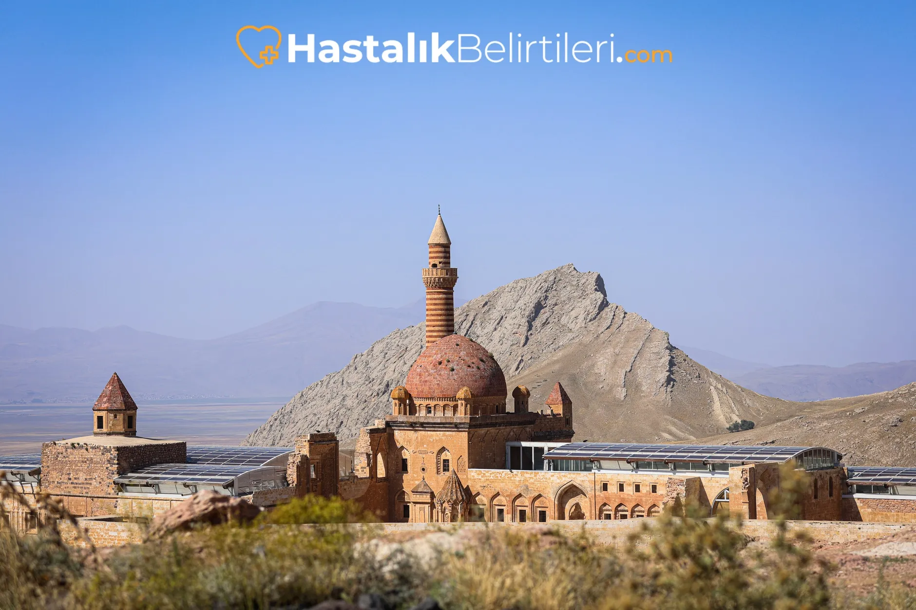 Safra Kesesi Taşı Belirtileri Nelerdir? 4 Bulantı kusma ile seyreden safra kesesi taşı atağı