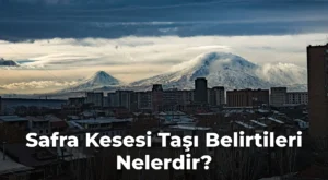Safra Kesesi Taşı Belirtileri Nelerdir?