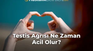 Testis Ağrısı Ne Zaman Acil Olur?
