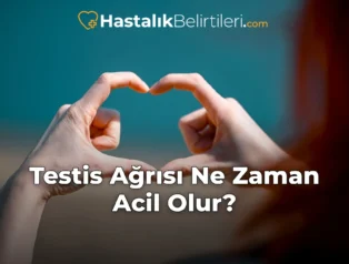 Testis Ağrısı Ne Zaman Acil Olur?