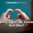 Testis Ağrısı Ne Zaman Acil Olur?