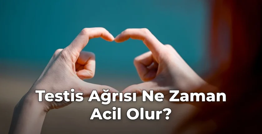 Testis Ağrısı Ne Zaman Acil Olur?