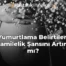 Yumurtlama Belirtileri Hamilelik Şansını Artırır mı?