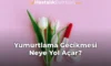 Yumurtlama Gecikmesi Neye Yol Açar?
