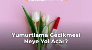 Yumurtlama Gecikmesi Neye Yol Açar?