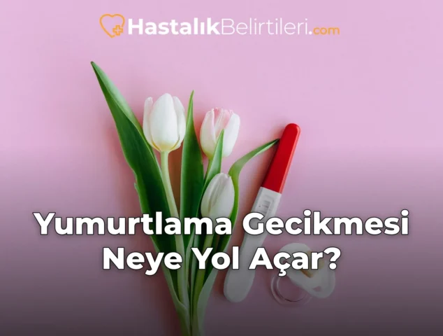 Yumurtlama Gecikmesi Neye Yol Açar?