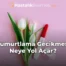 Yumurtlama Gecikmesi Neye Yol Açar?