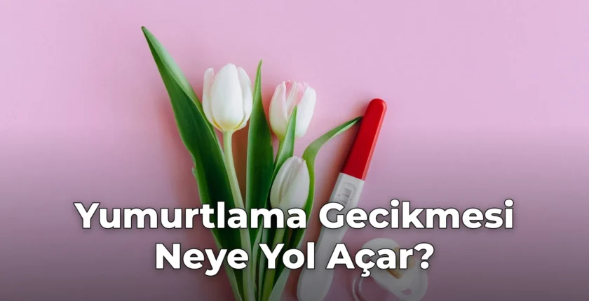 Yumurtlama Gecikmesi Neye Yol Açar?